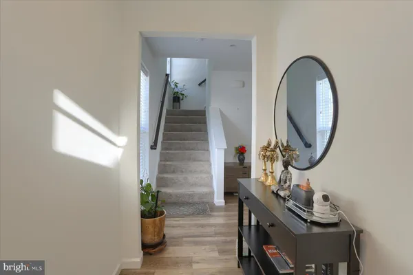 a view of a entryway with wooden floor and a potted plant
