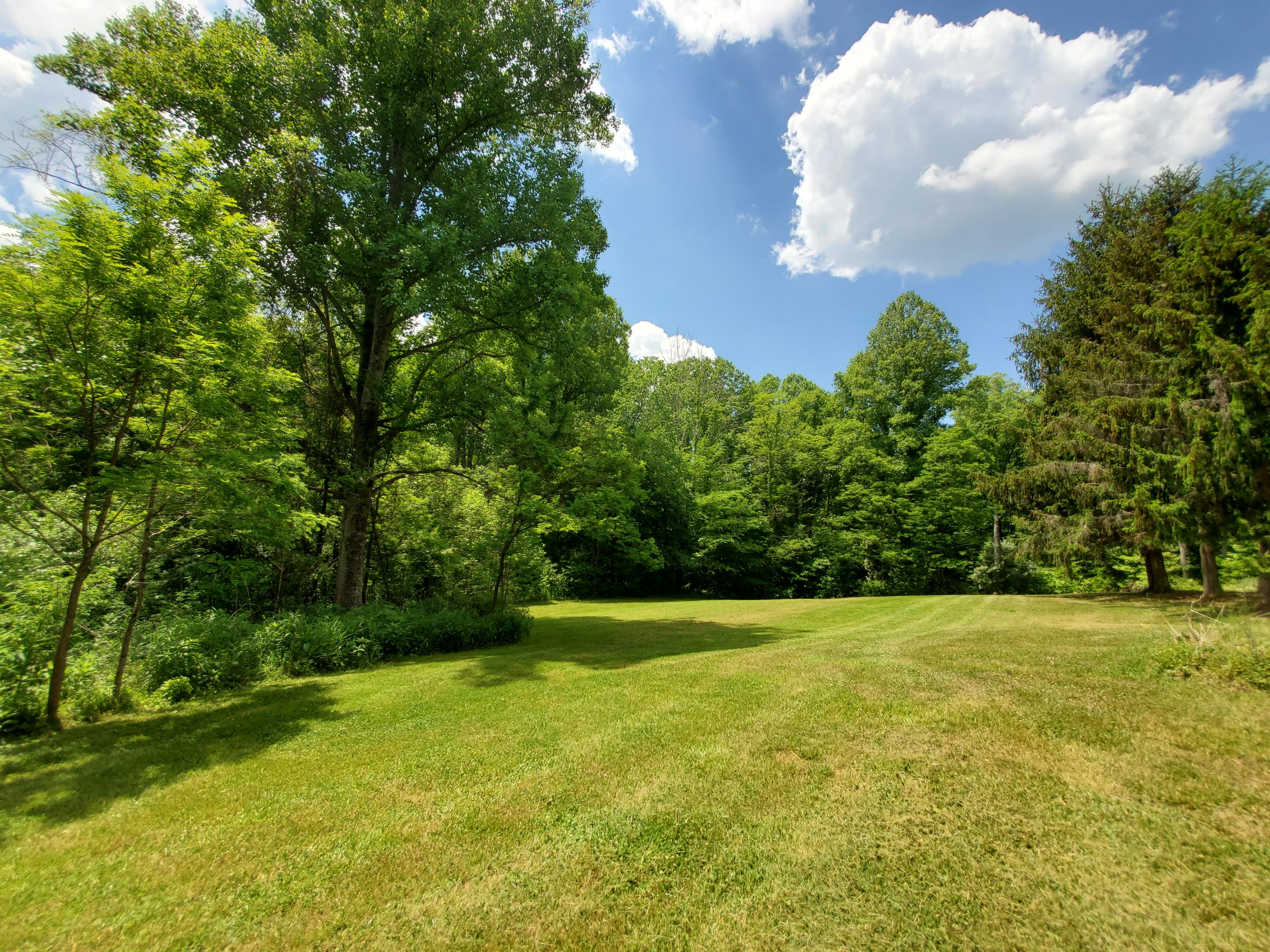 9547 Scott Ridge Road Abingdon, VA 24210 - Photo 10 of 40 20210524_124622