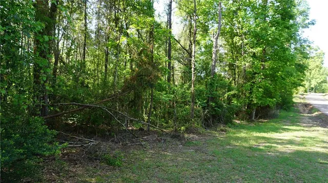 $130,000 | 67135 Oil Field Road, Kentwood, LA 70444