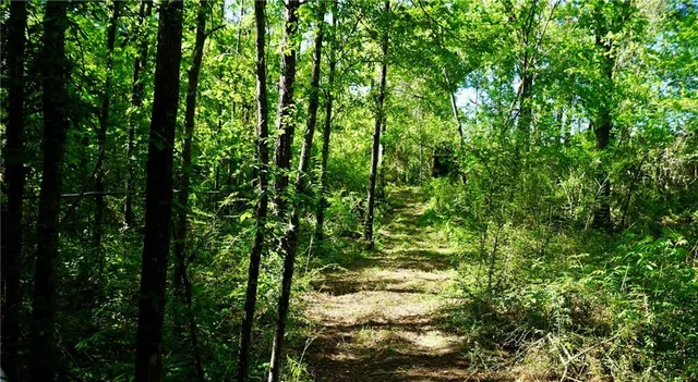 $130,000 | 67135 Oil Field Road, Kentwood, LA 70444