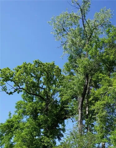 $130,000 | 67135 Oil Field Road, Kentwood, LA 70444