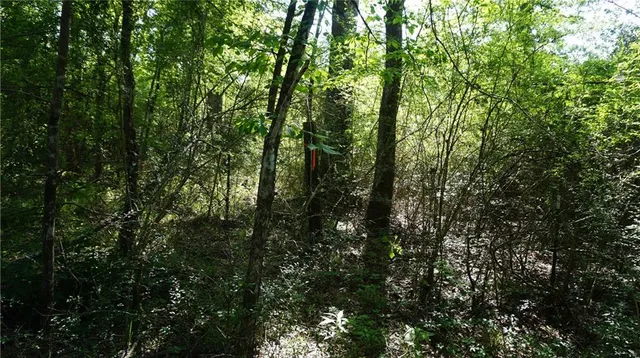 $130,000 | 67135 Oil Field Road, Kentwood, LA 70444