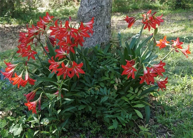 $130,000 | 67135 Oil Field Road, Kentwood, LA 70444