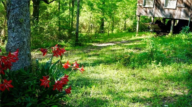 $130,000 | 67135 Oil Field Road, Kentwood, LA 70444