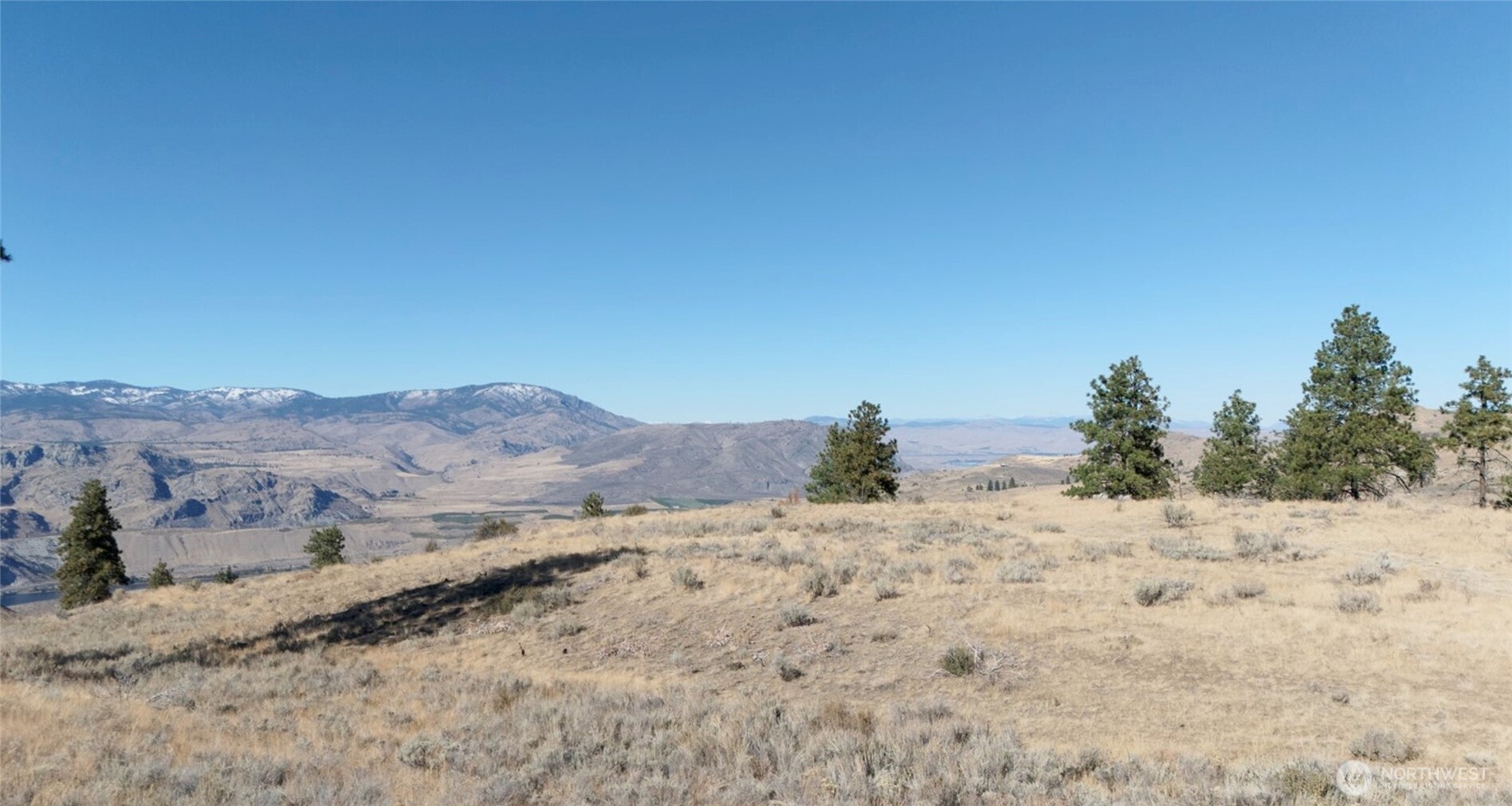 54 Wolf Holler Road Waterville, WA 98858 - Photo 9 of 14