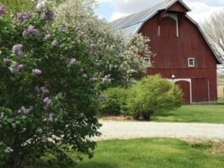 21440 Mule Barn Road Sheridan, IN 46069 - Photo 42 of 47 Gallery Image 42