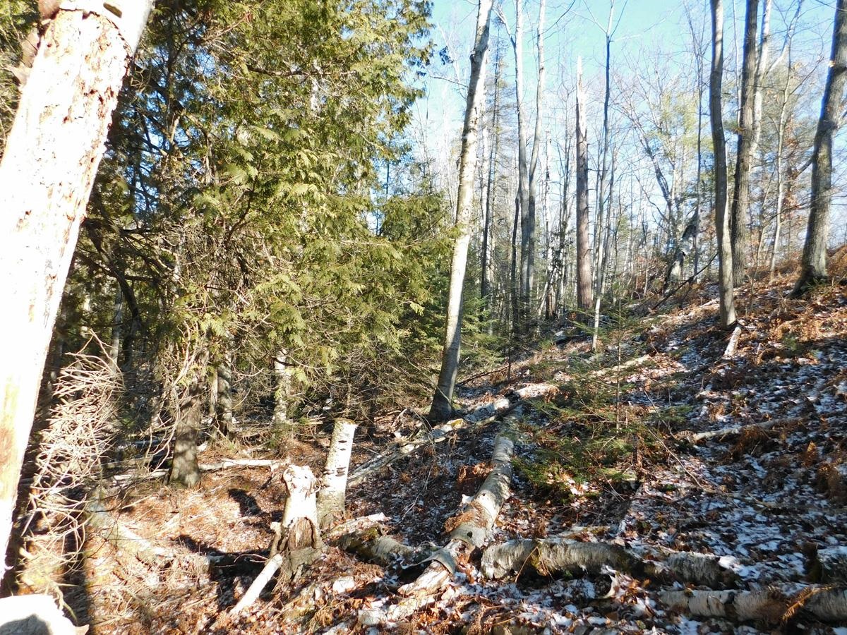 1 Kings Corner Road Oscoda, MI 48750 - Photo 17 of 20 1907805-16.JPG