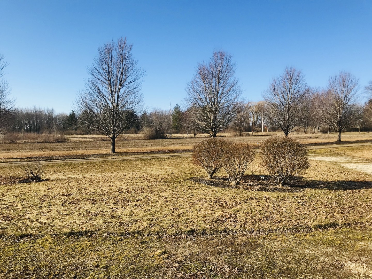 6514 Johnson Road Hebron, IL 60034 - Photo 5 of 17 a view of a yard with palm trees