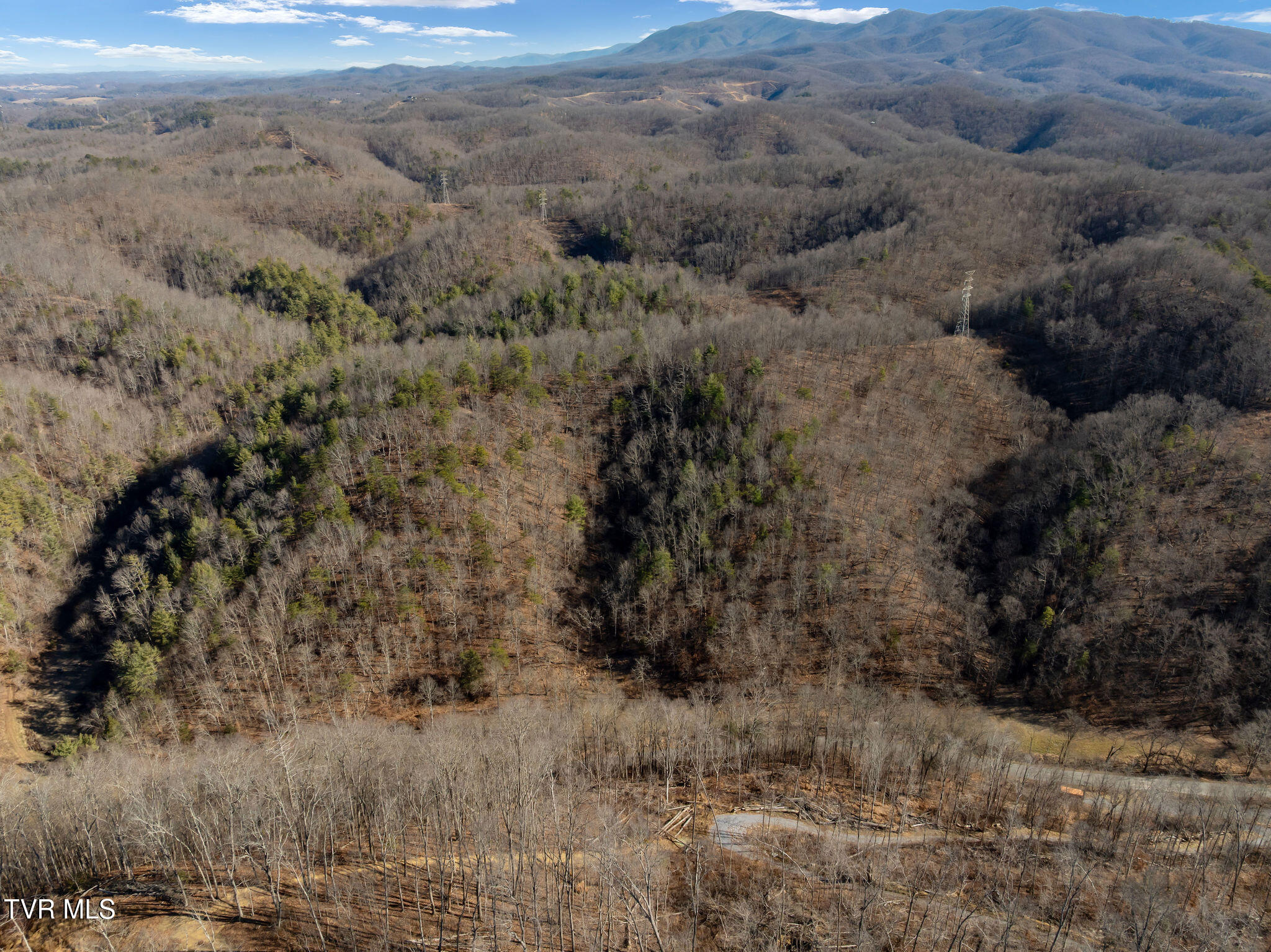 Tbd Cripple Creek Road Watauga, TN 37694 - Photo 11 of 46 DJI_0121
