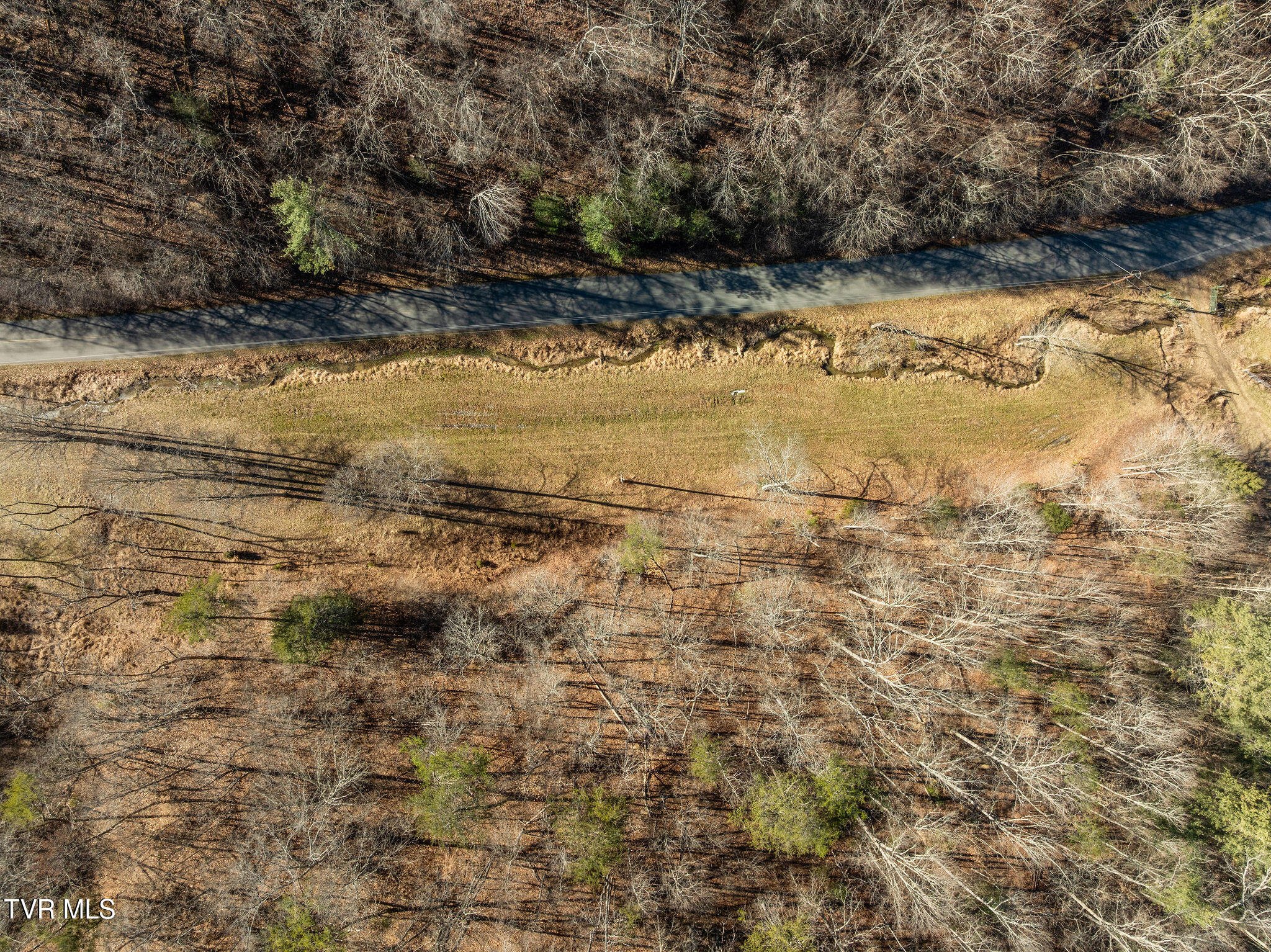 Tbd Cripple Creek Road Watauga, TN 37694 - Photo 13 of 46 DJI_0108