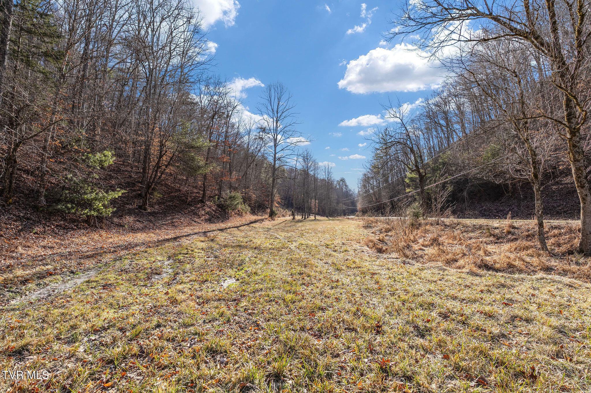 Tbd Cripple Creek Road Watauga, TN 37694 - Photo 16 of 46 DSC08491