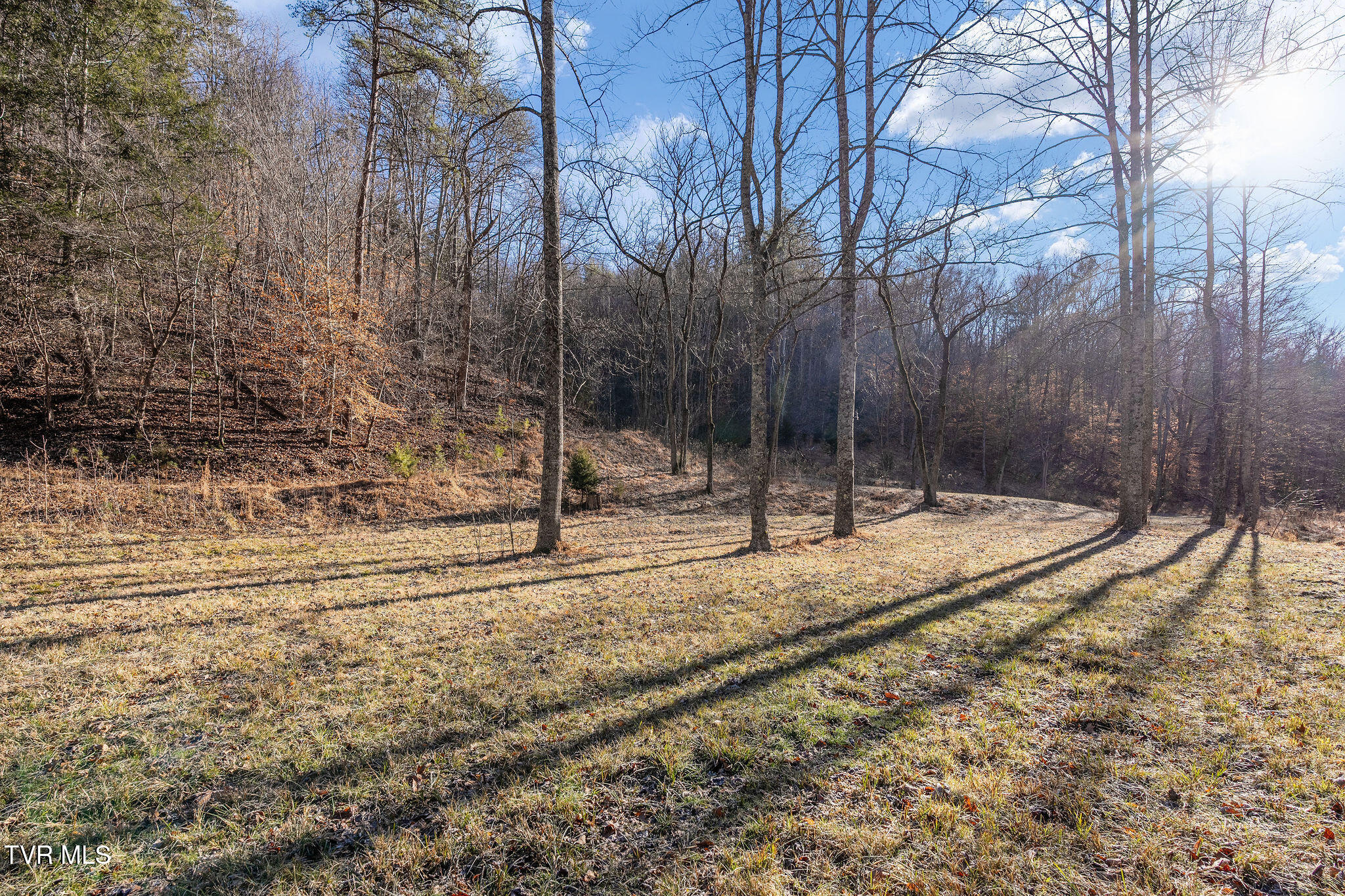 Tbd Cripple Creek Road Watauga, TN 37694 - Photo 18 of 46 DSC08494