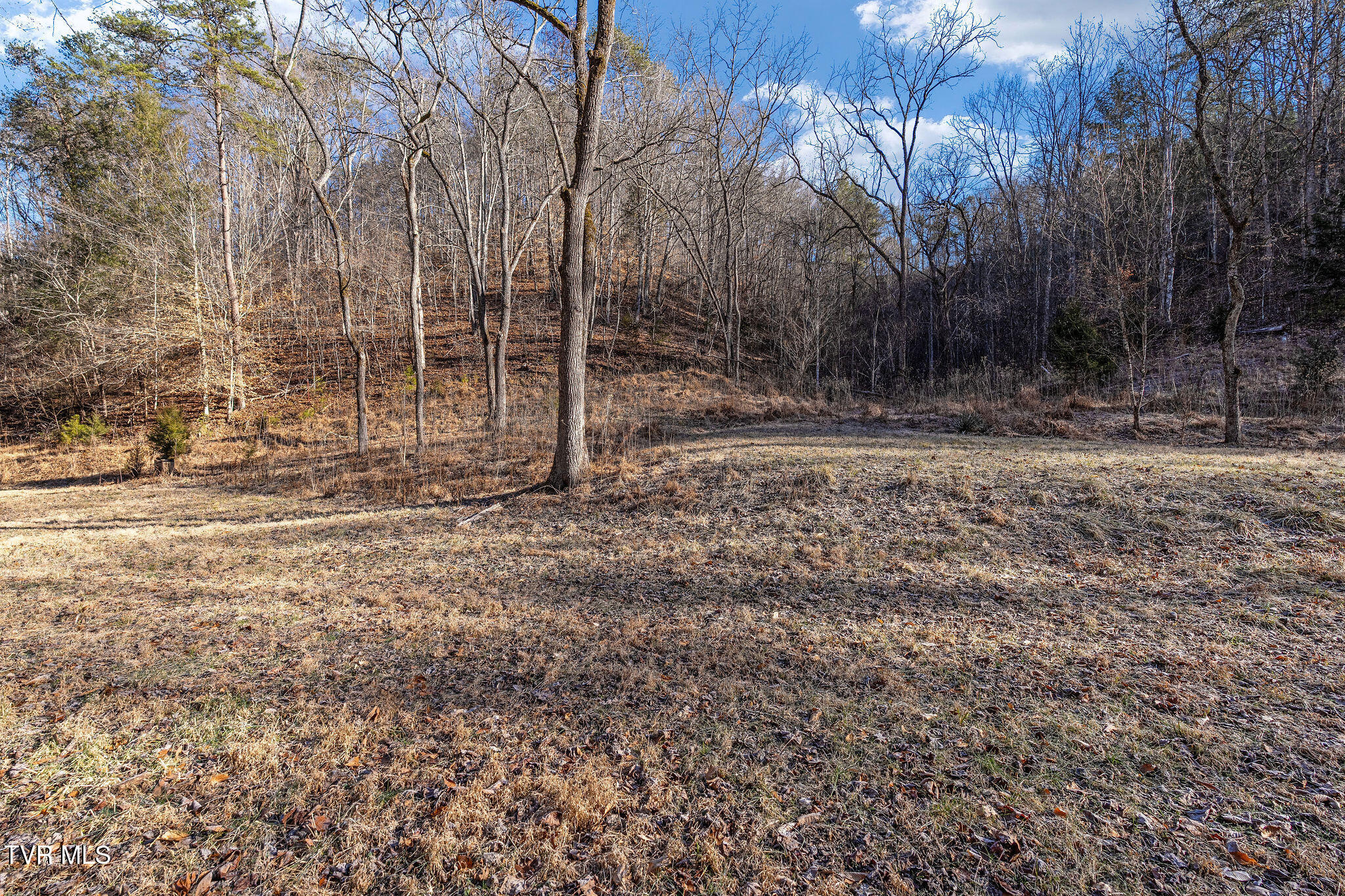 Tbd Cripple Creek Road Watauga, TN 37694 - Photo 19 of 46 DSC08497