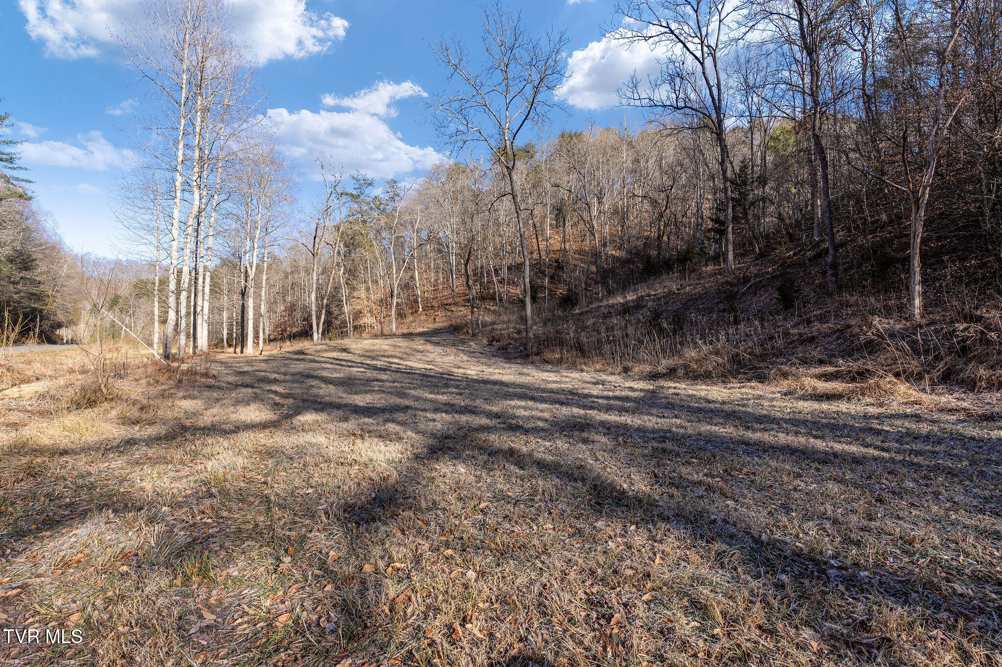 Tbd Cripple Creek Road Watauga, TN 37694 - Photo 20 of 46 DSC08499