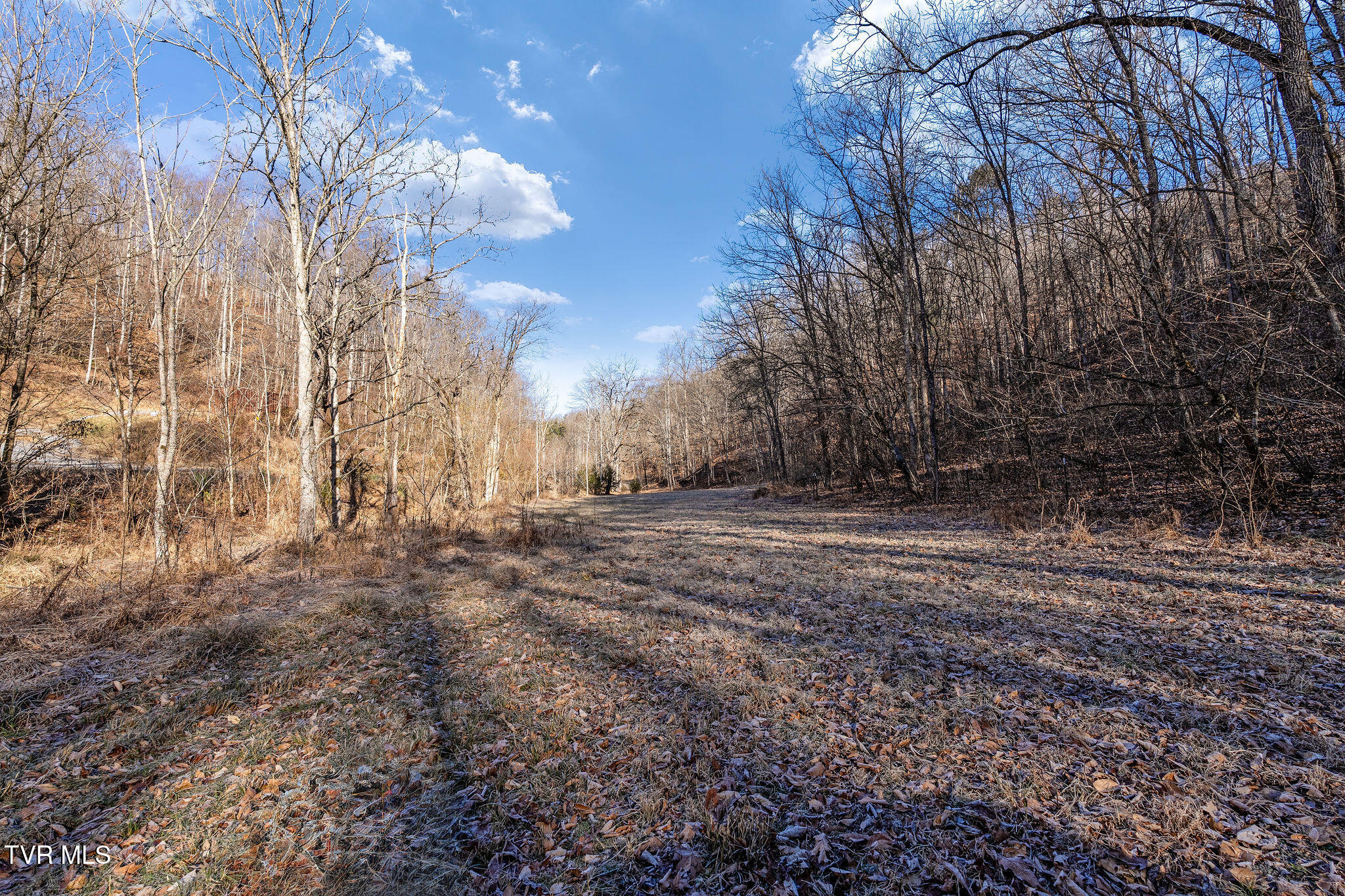 Tbd Cripple Creek Road Watauga, TN 37694 - Photo 21 of 46 DSC08500