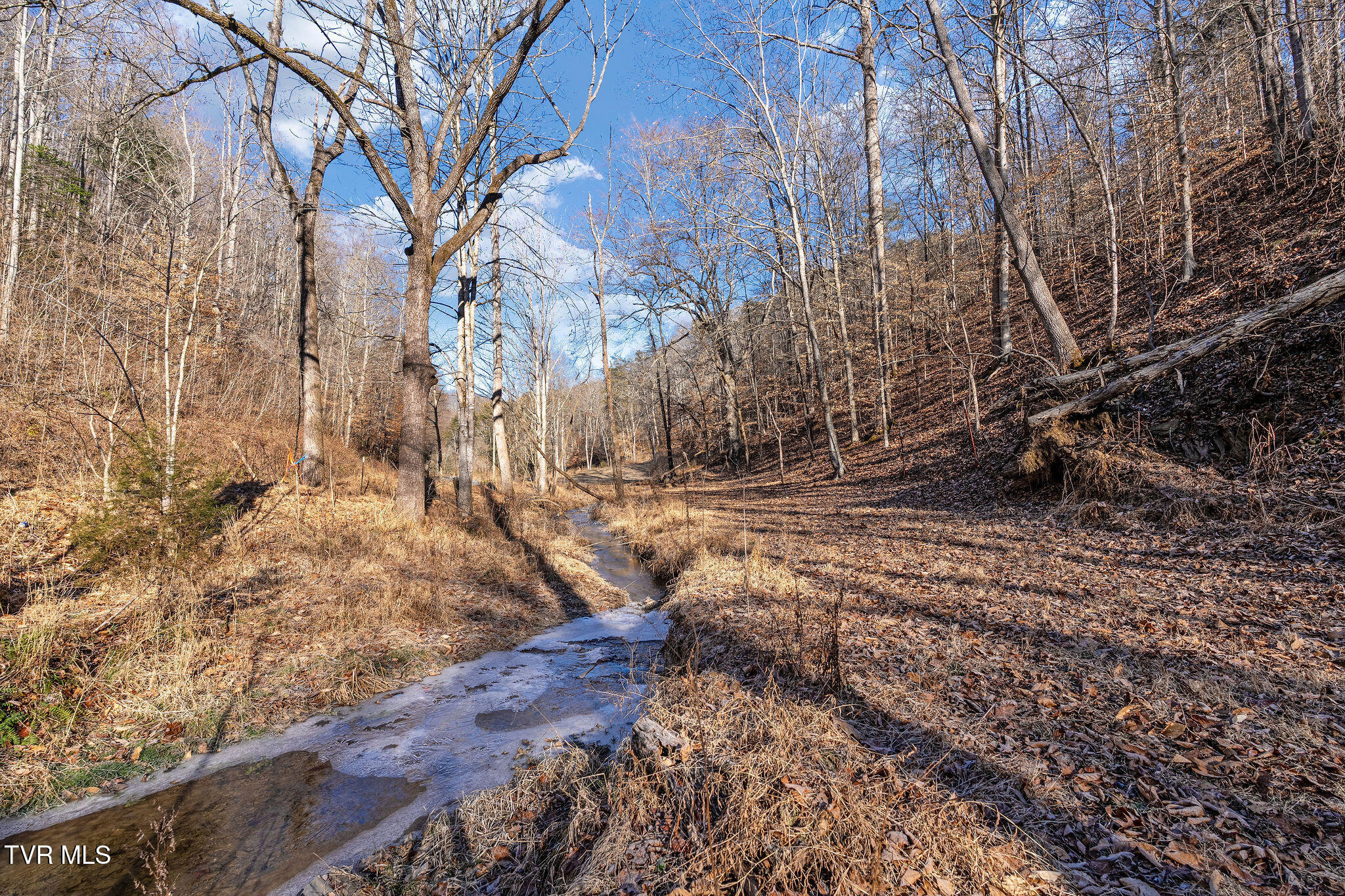 Tbd Cripple Creek Road Watauga, TN 37694 - Photo 22 of 46 DSC08502