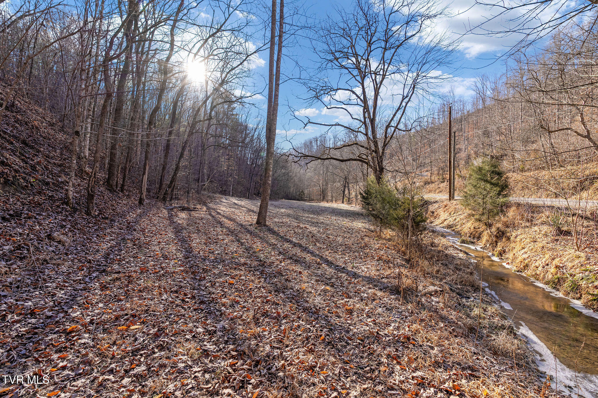 Tbd Cripple Creek Road Watauga, TN 37694 - Photo 23 of 46 DSC08504