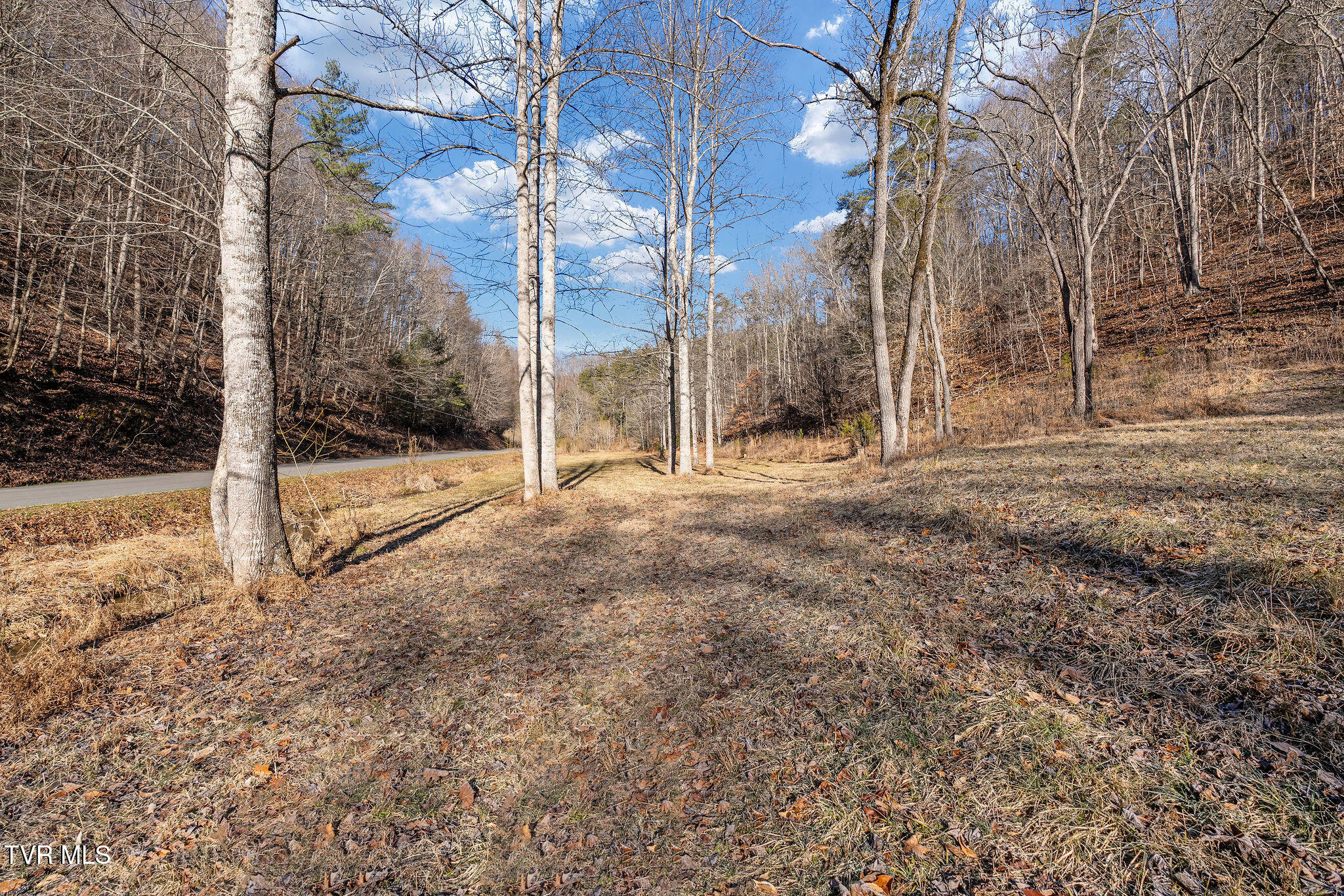 Tbd Cripple Creek Road Watauga, TN 37694 - Photo 24 of 46 DSC08507