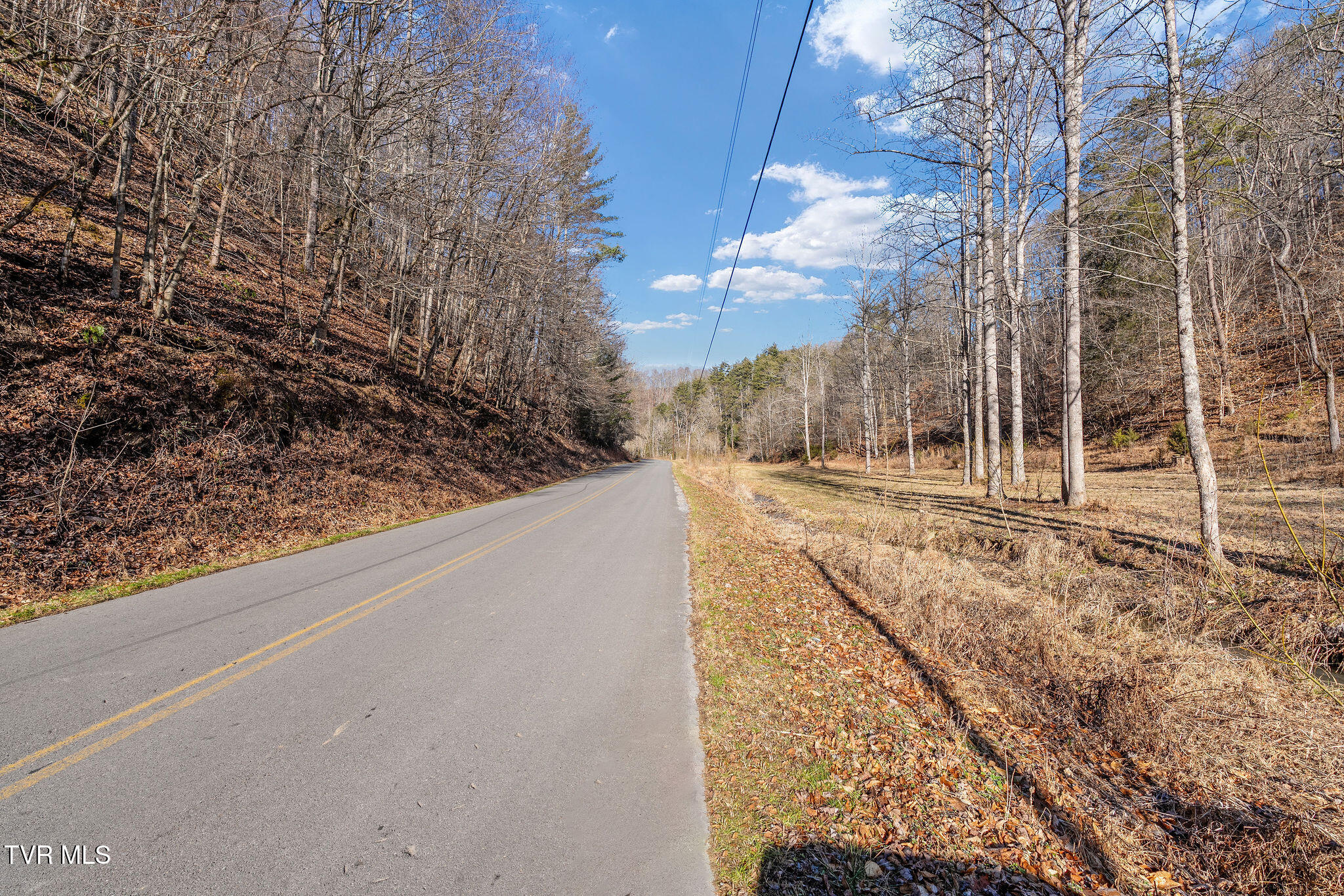 Tbd Cripple Creek Road Watauga, TN 37694 - Photo 25 of 46 DSC08508