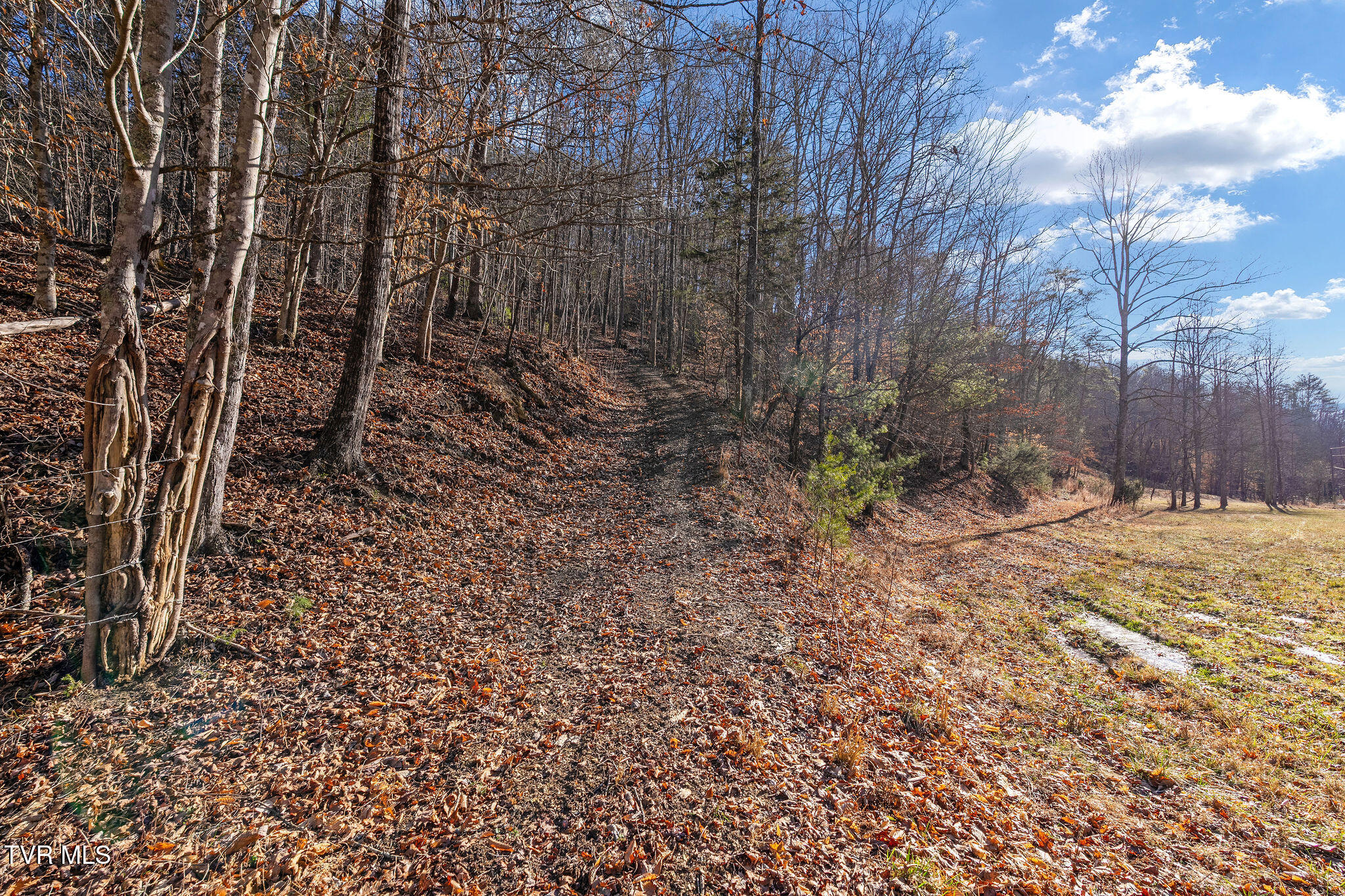 Tbd Cripple Creek Road Watauga, TN 37694 - Photo 26 of 46 DSC08511