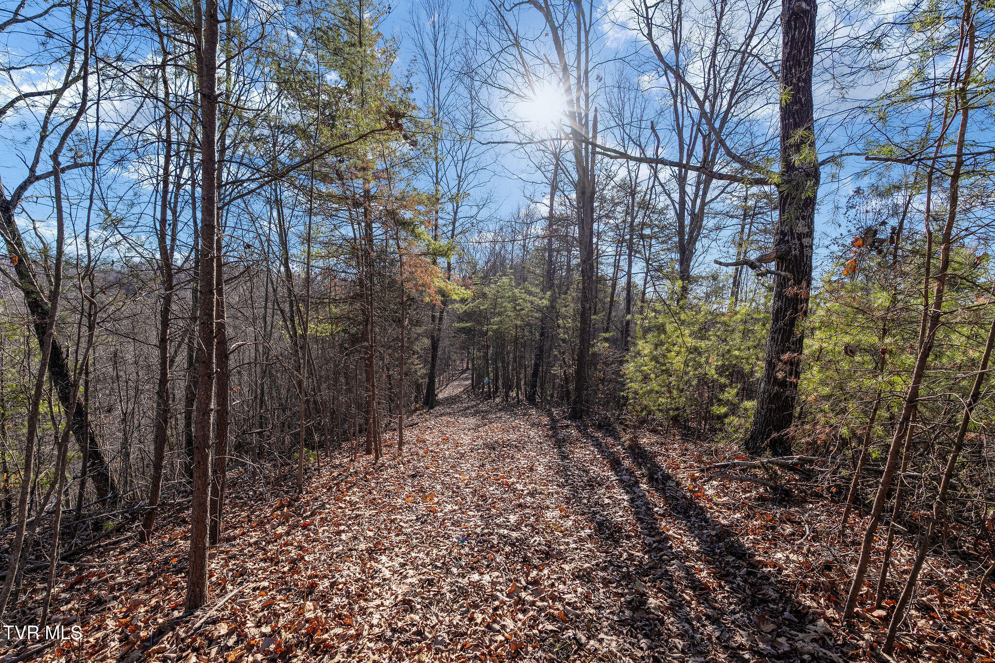 Tbd Cripple Creek Road Watauga, TN 37694 - Photo 27 of 46 DSC08514