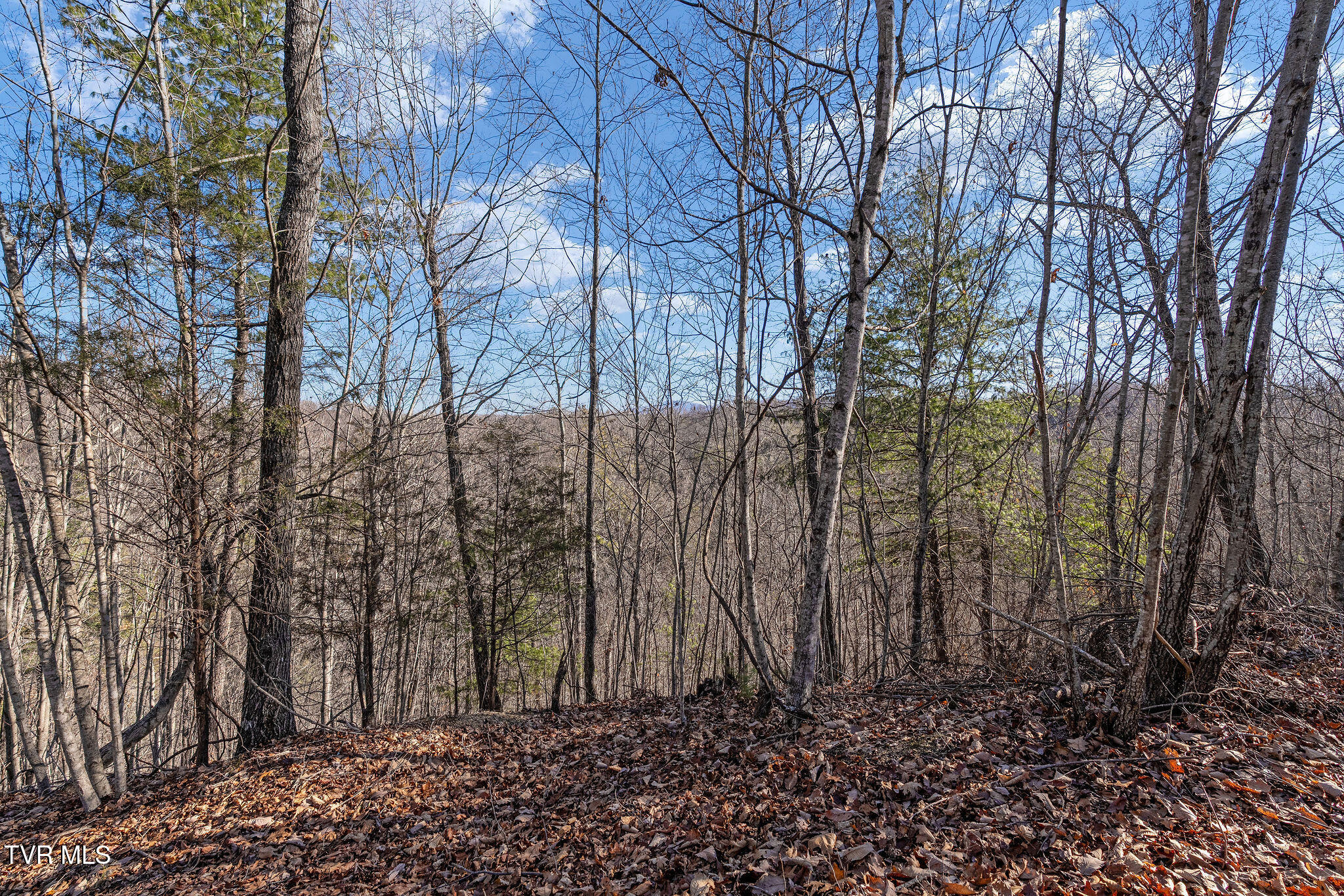 Tbd Cripple Creek Road Watauga, TN 37694 - Photo 28 of 46 DSC08517