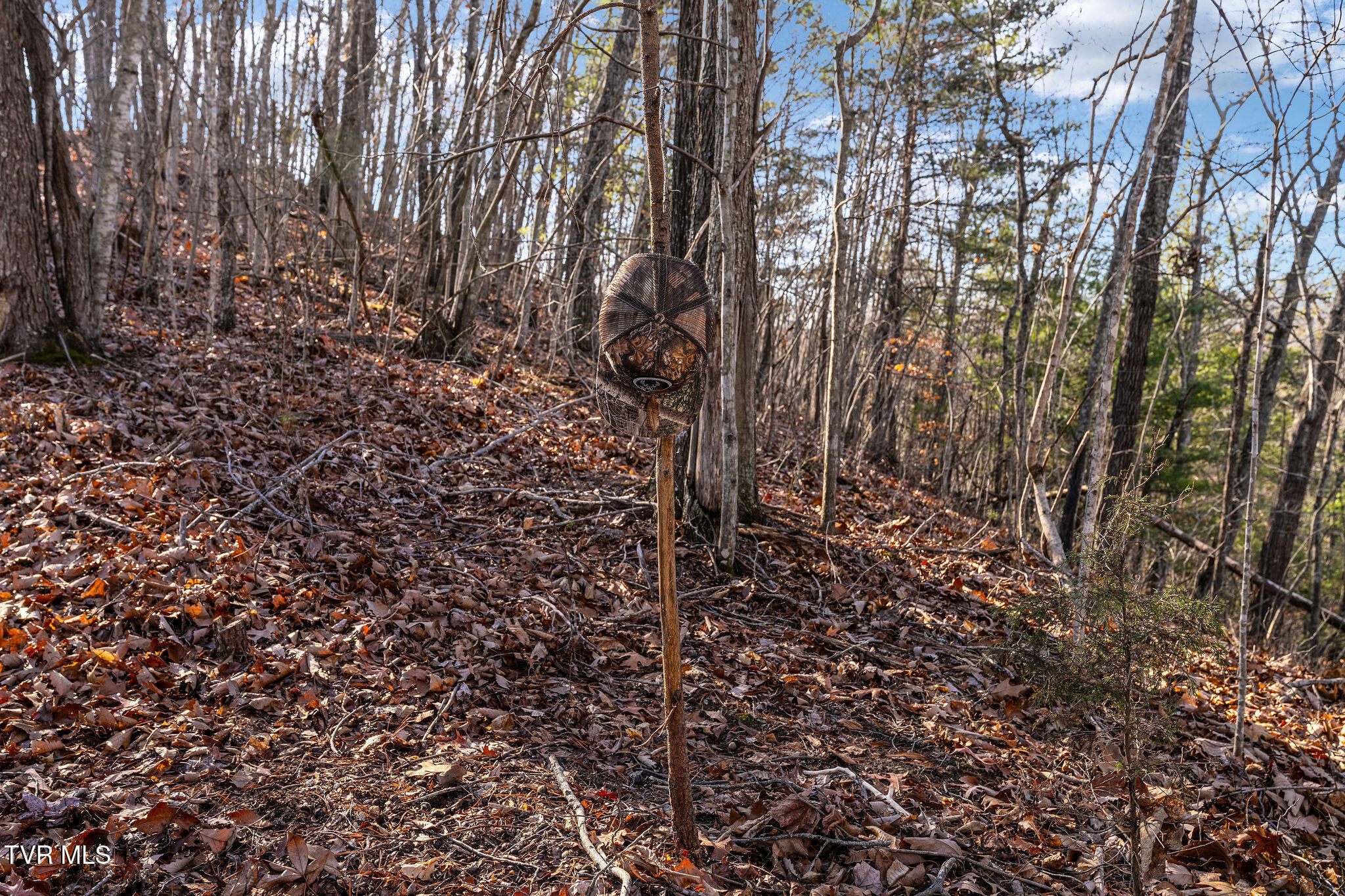 Tbd Cripple Creek Road Watauga, TN 37694 - Photo 29 of 46 DSC08520