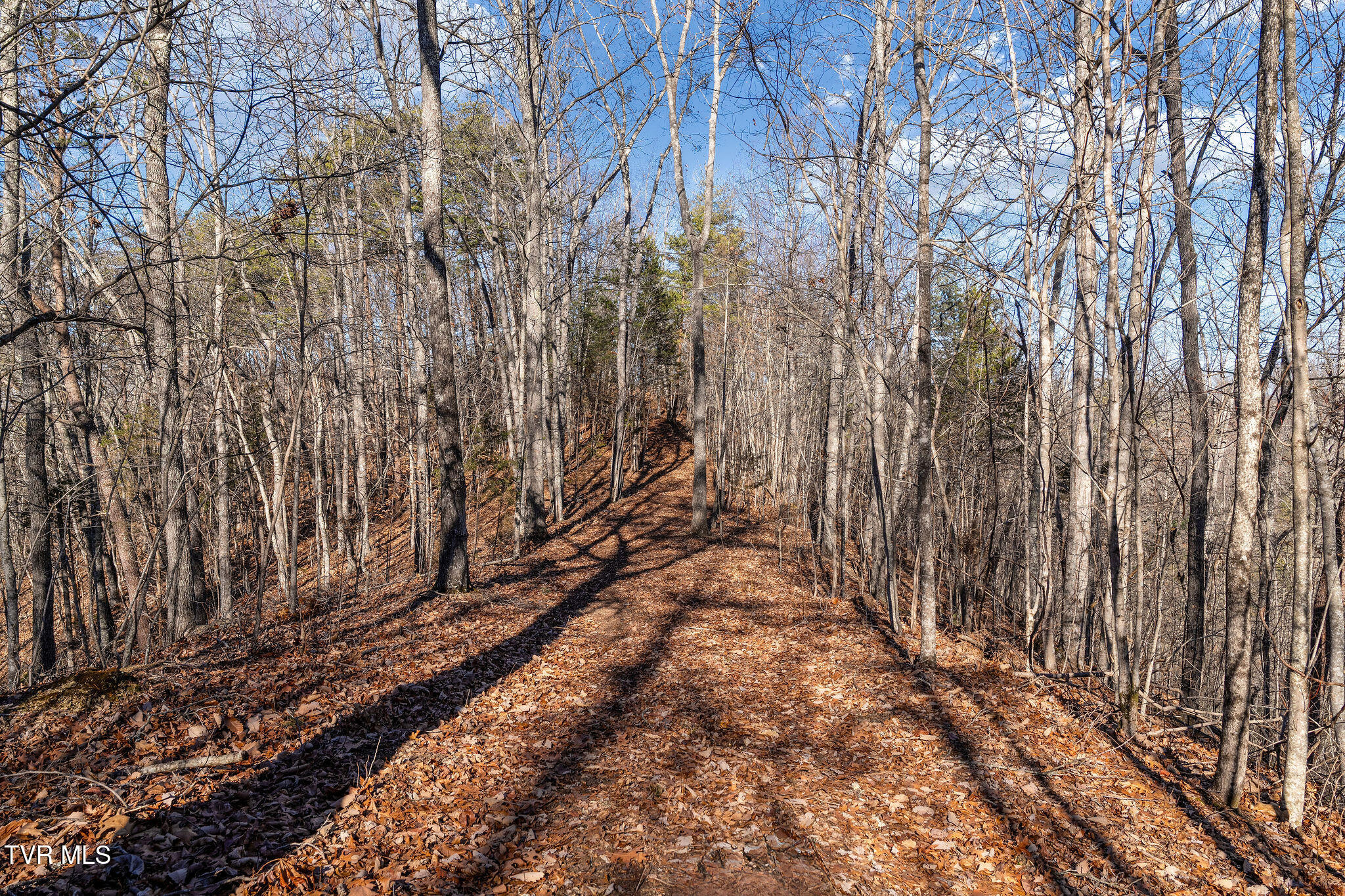 Tbd Cripple Creek Road Watauga, TN 37694 - Photo 30 of 46 DSC08521