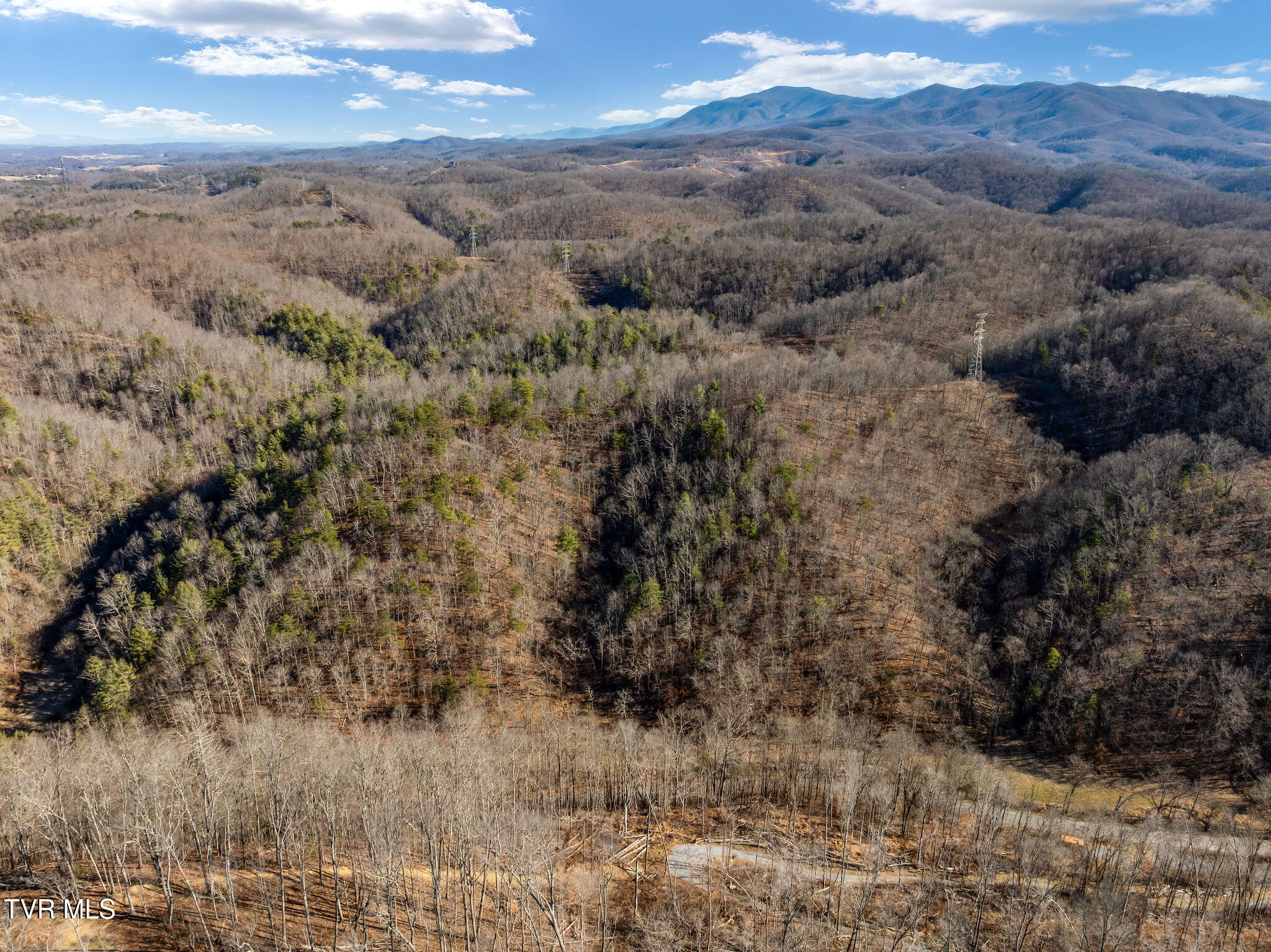 Tbd Cripple Creek Road Watauga, TN 37694 - Photo 3 of 46 DJI_0061