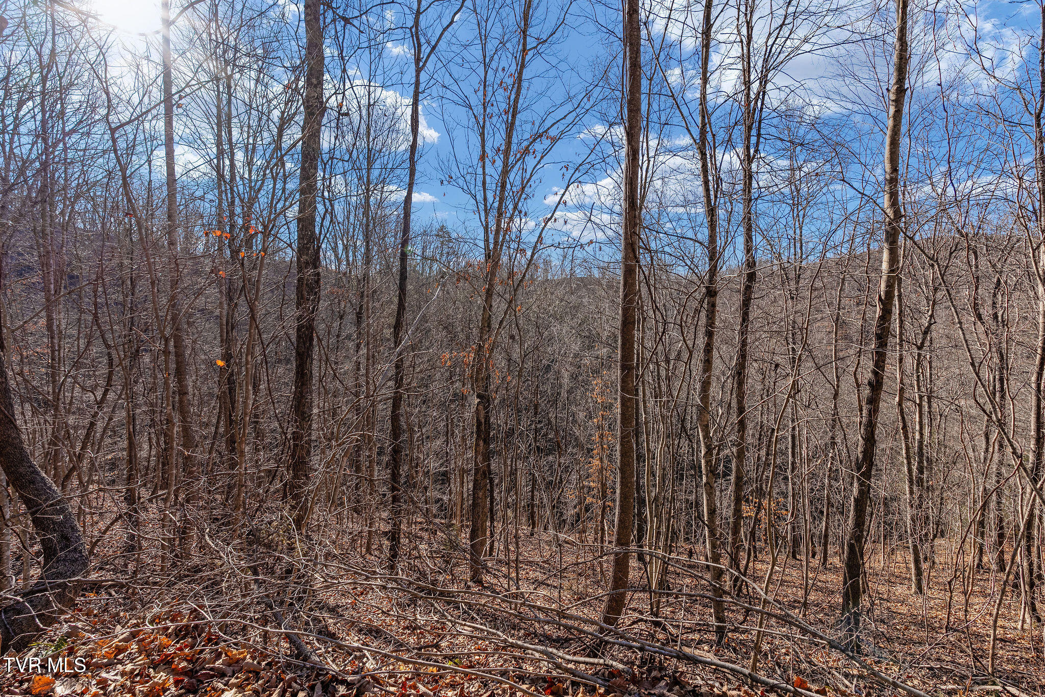 Tbd Cripple Creek Road Watauga, TN 37694 - Photo 31 of 46 DSC08525