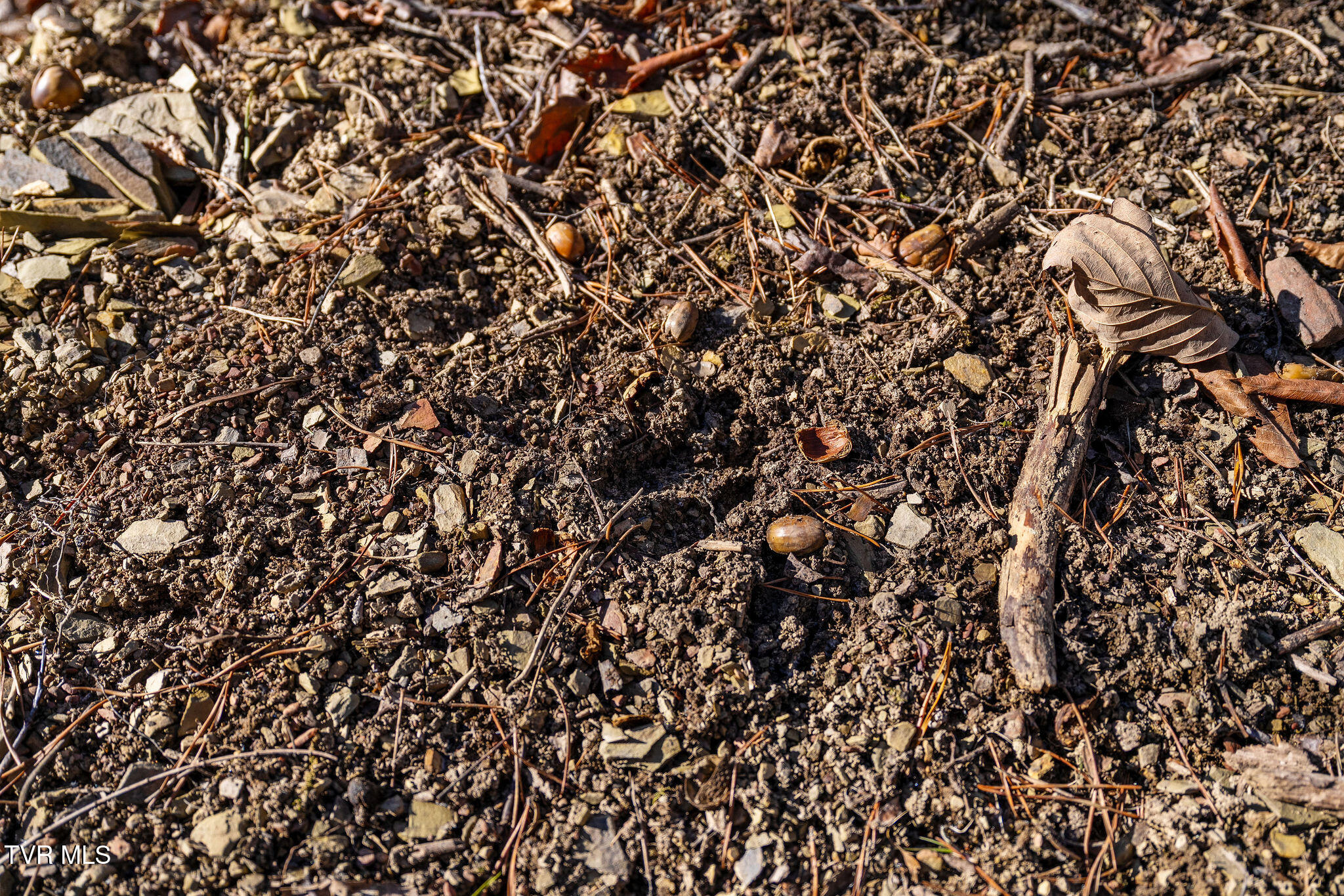 Tbd Cripple Creek Road Watauga, TN 37694 - Photo 33 of 46 DSC08530