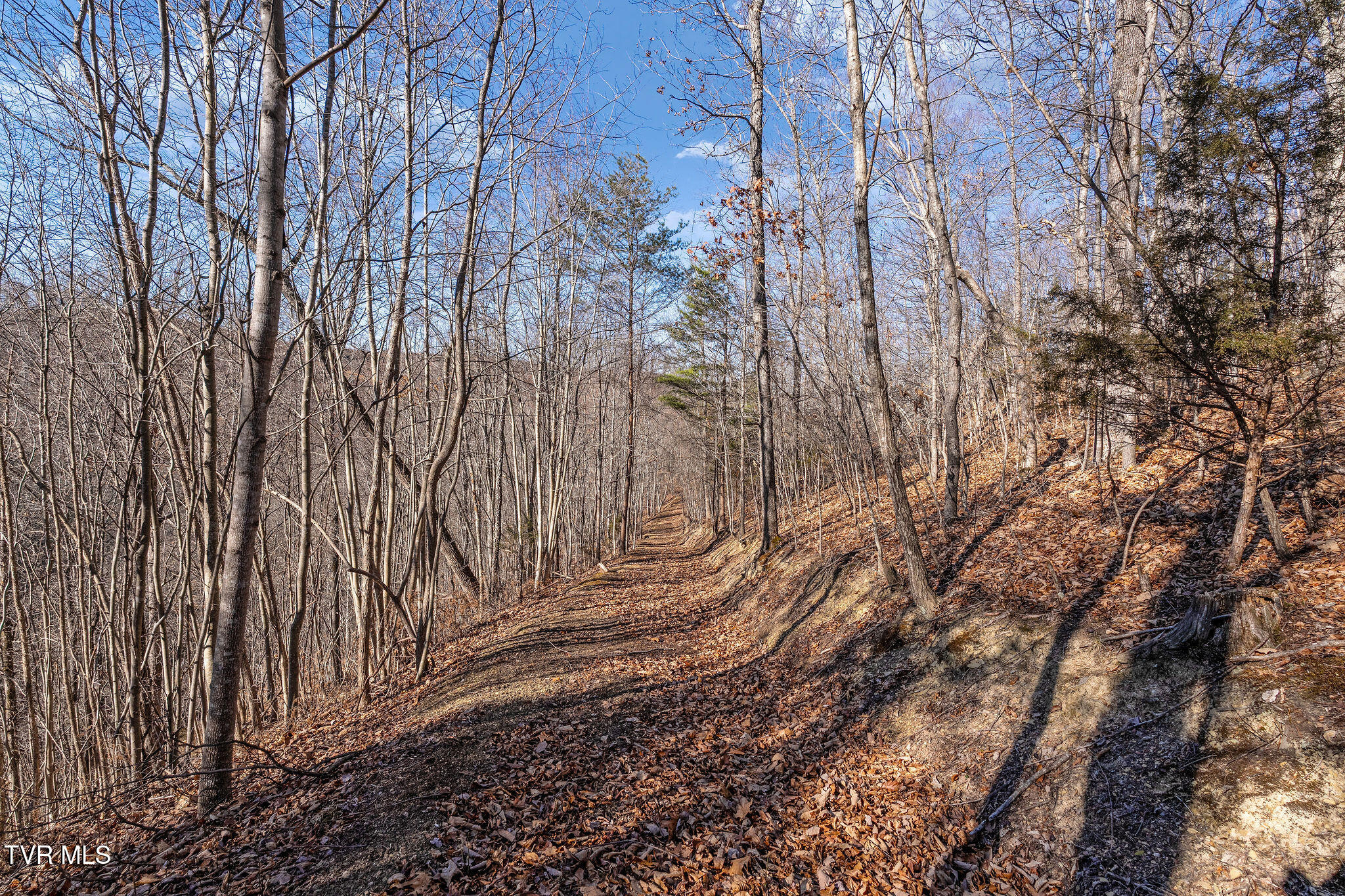 Tbd Cripple Creek Road Watauga, TN 37694 - Photo 34 of 46 DSC08532