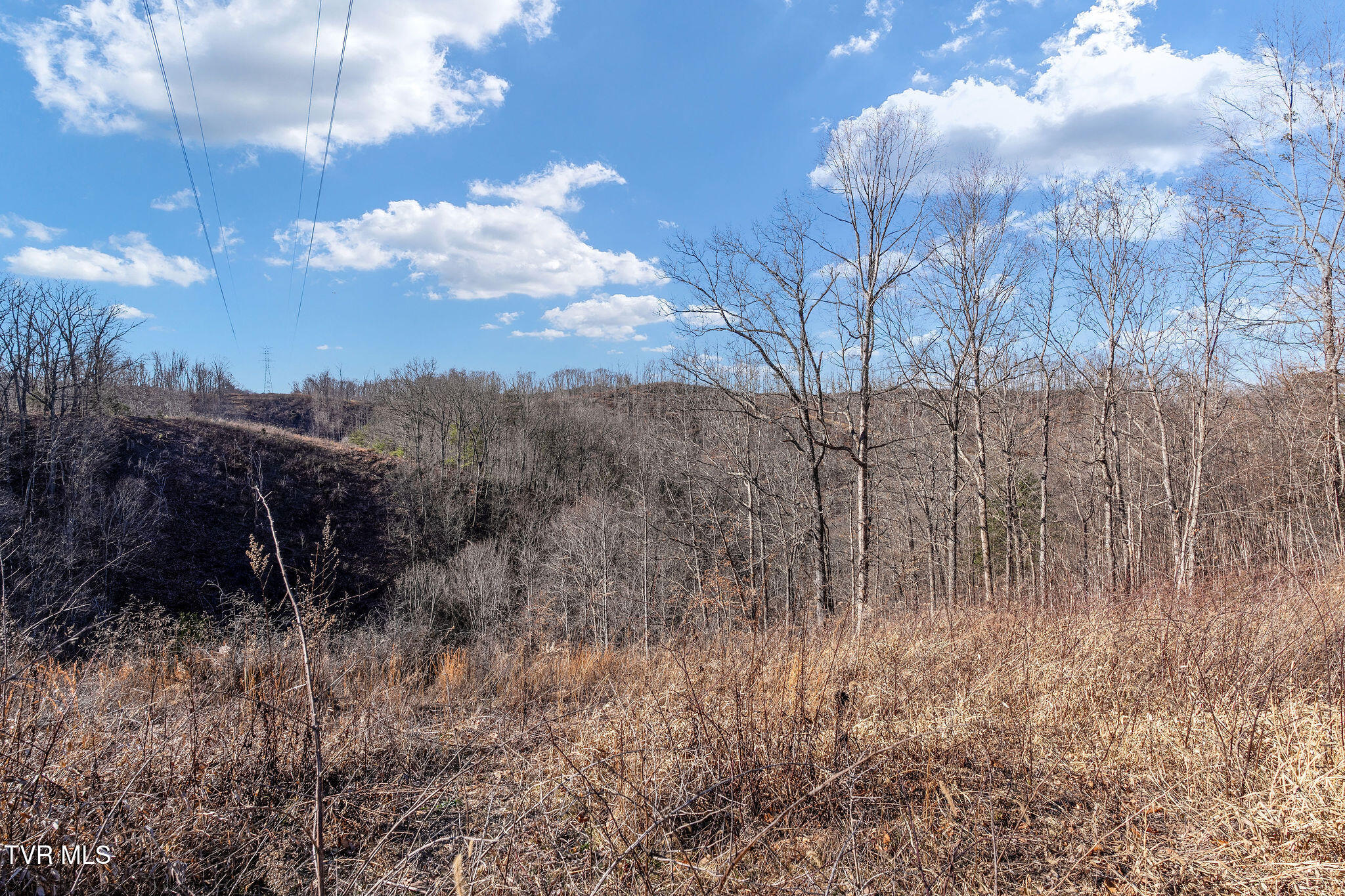 Tbd Cripple Creek Road Watauga, TN 37694 - Photo 35 of 46 DSC08535
