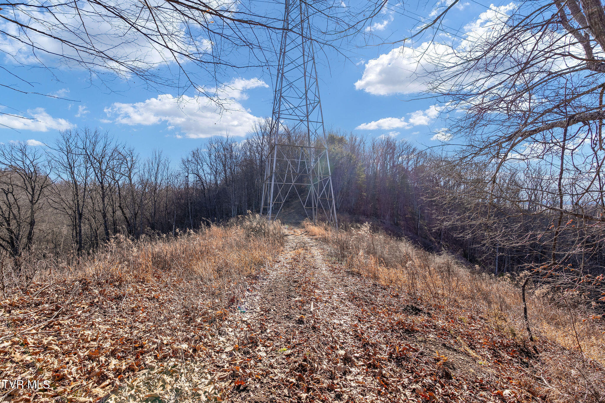 Tbd Cripple Creek Road Watauga, TN 37694 - Photo 37 of 46 DSC08542