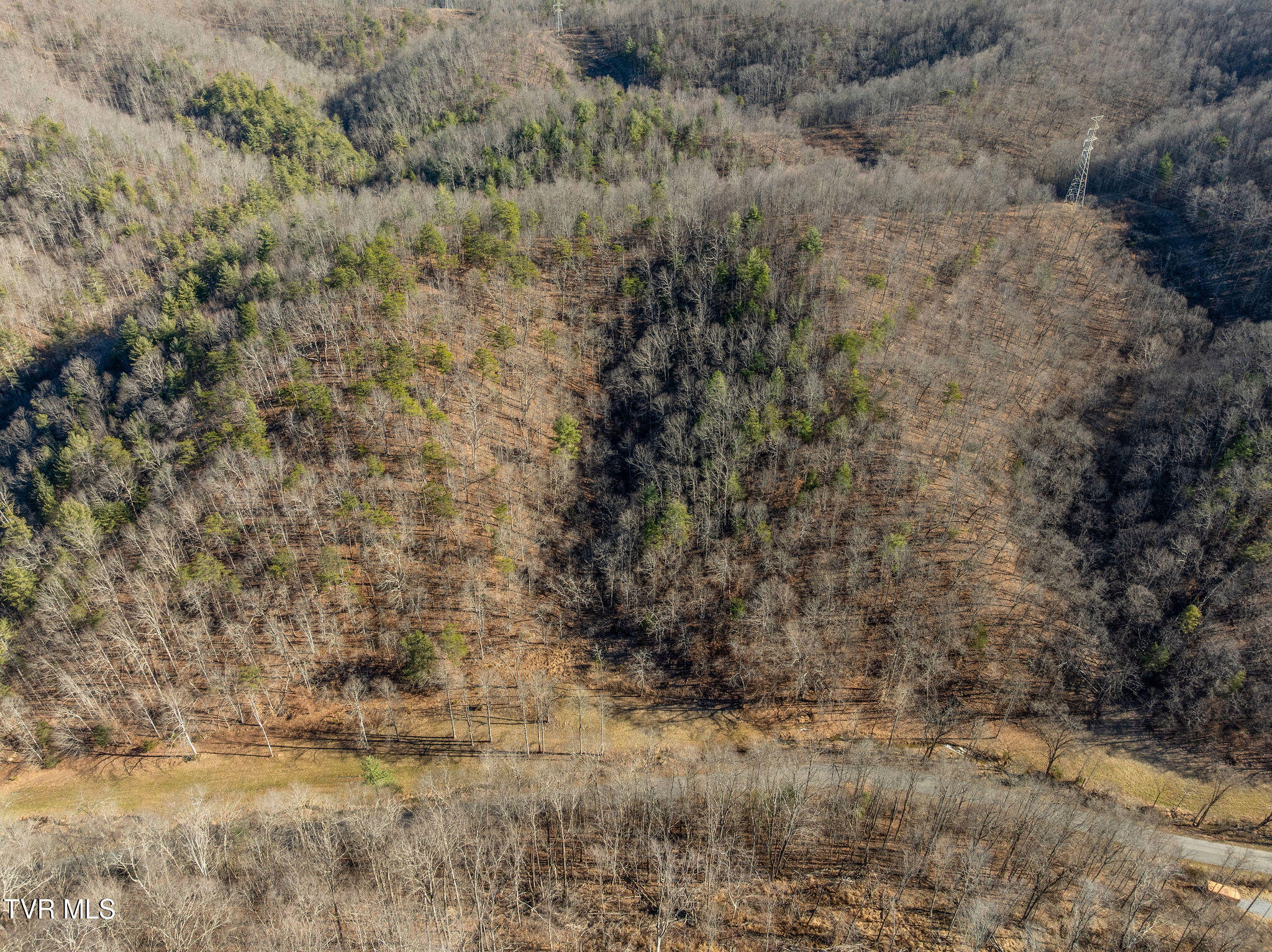 Tbd Cripple Creek Road Watauga, TN 37694 - Photo 4 of 46 DJI_0066