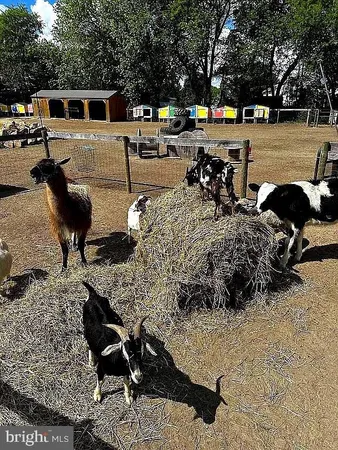 a view of a water fountain and a fountain