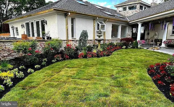 a view of a flower in a garden