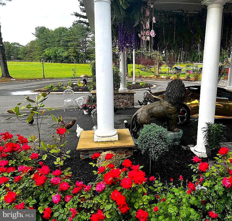 122-124 Salina Road Sewell, NJ 08080 - Photo 5 of 27 a view of a flower in a garden