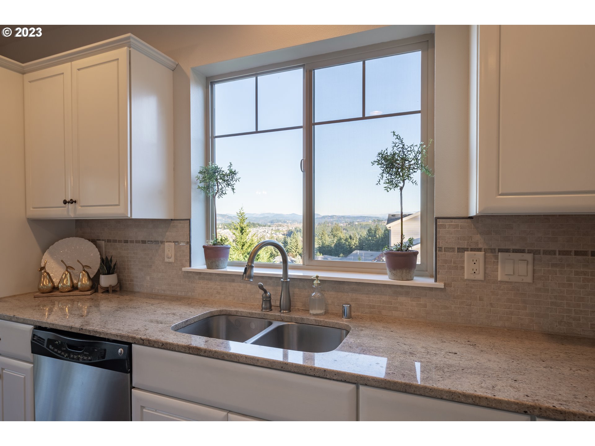 2909 Northwest Hill Street Camas, WA 98607 - Photo 11 of 42 a kitchen with a sink and a potted plant
