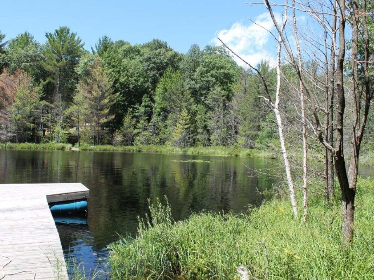 6481 South Bluebird Road Lake Tomahawk, WI 54539 - Photo 7 of 38 Gallery Image 7