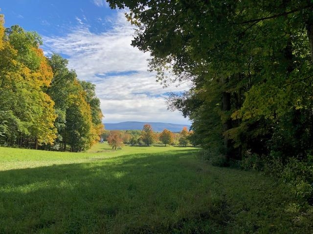 557 Bennett Hill Road Shaftsbury, VT 05262 - Photo 7 of 55