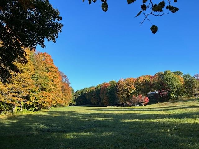 557 Bennett Hill Road Shaftsbury, VT 05262 - Photo 8 of 55