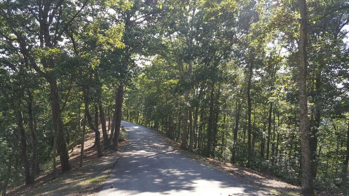 Lot 23 Wildwood Ridge Lindside, WV 24951 - Photo 3 of 20 Lot 23