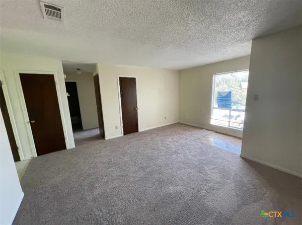 a view of a big room with windows and closet