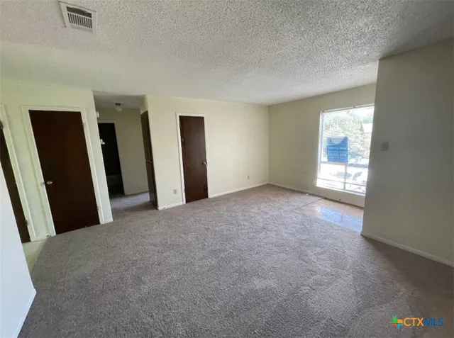 a view of a big room with windows and closet