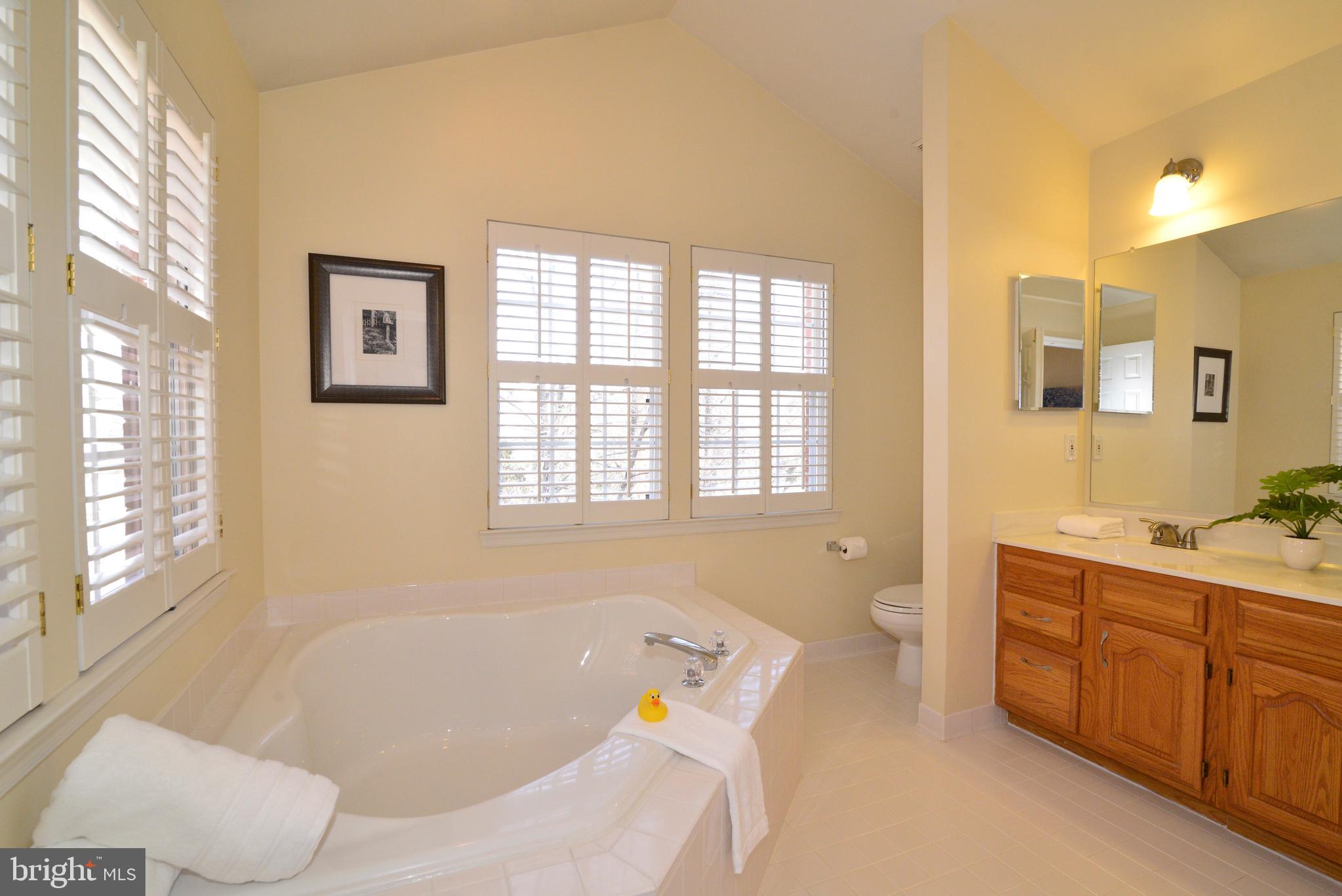 1384 Park Garden Lane Reston, VA 20194 - Photo 22 of 38 Double doors lead into the owner's suite bathroom.