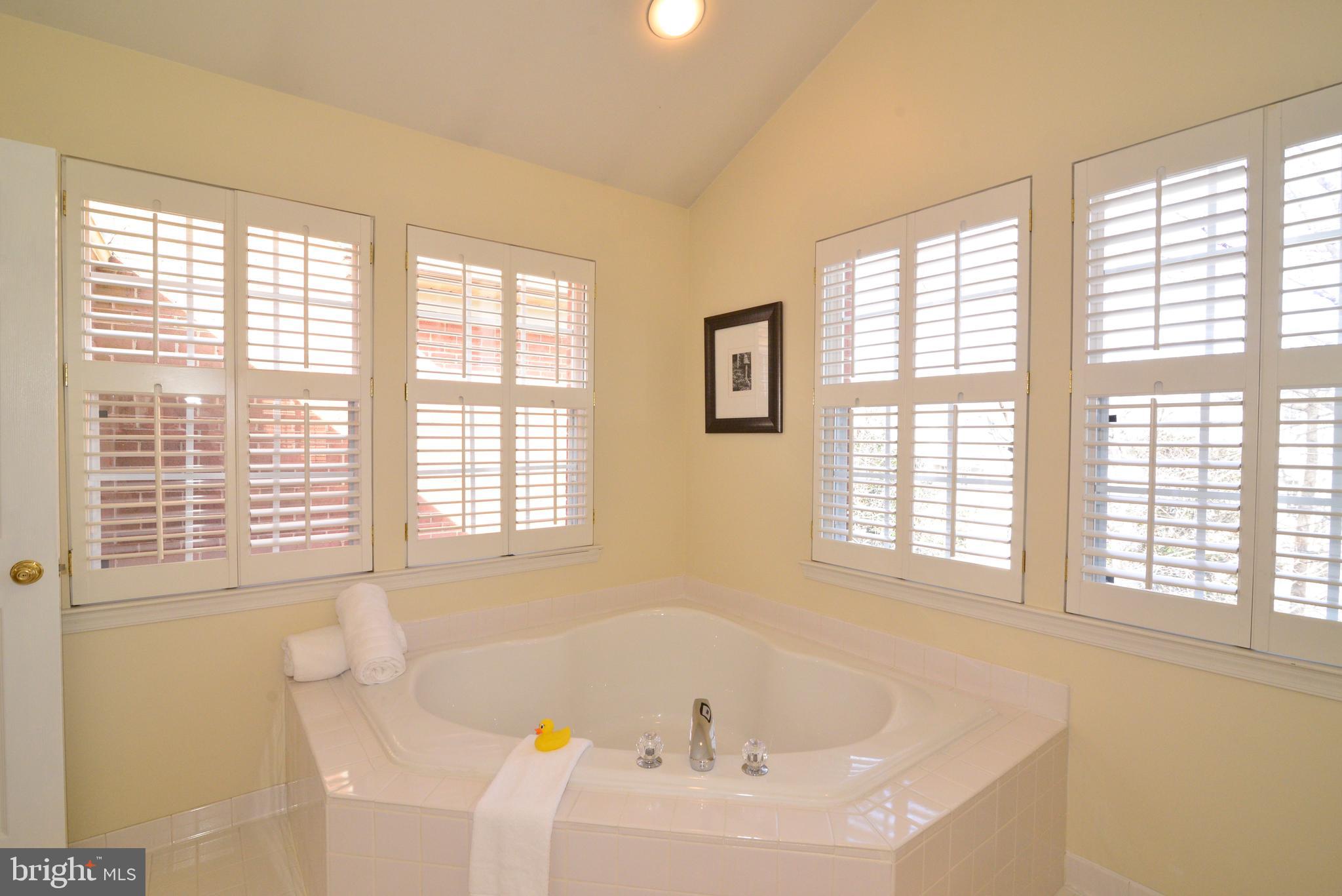 1384 Park Garden Lane Reston, VA 20194 - Photo 23 of 38 Two walls of windows with plantation shutters.