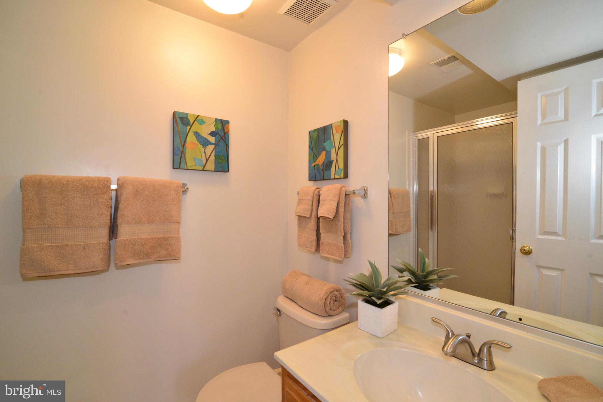 1384 Park Garden Lane Reston, VA 20194 - Photo 37 of 38 There is also a full bathroom on the lower level.