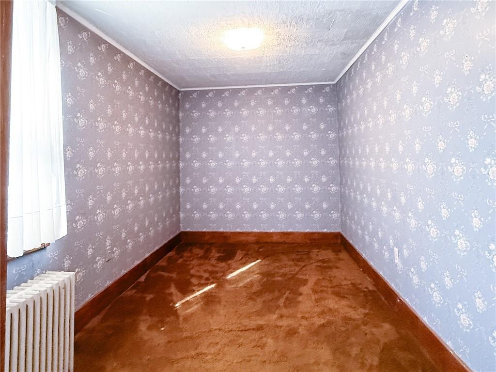 129 Missoura Street Somerset, PA 15501 - Photo 23 of 50 a view of a big yard with carpet