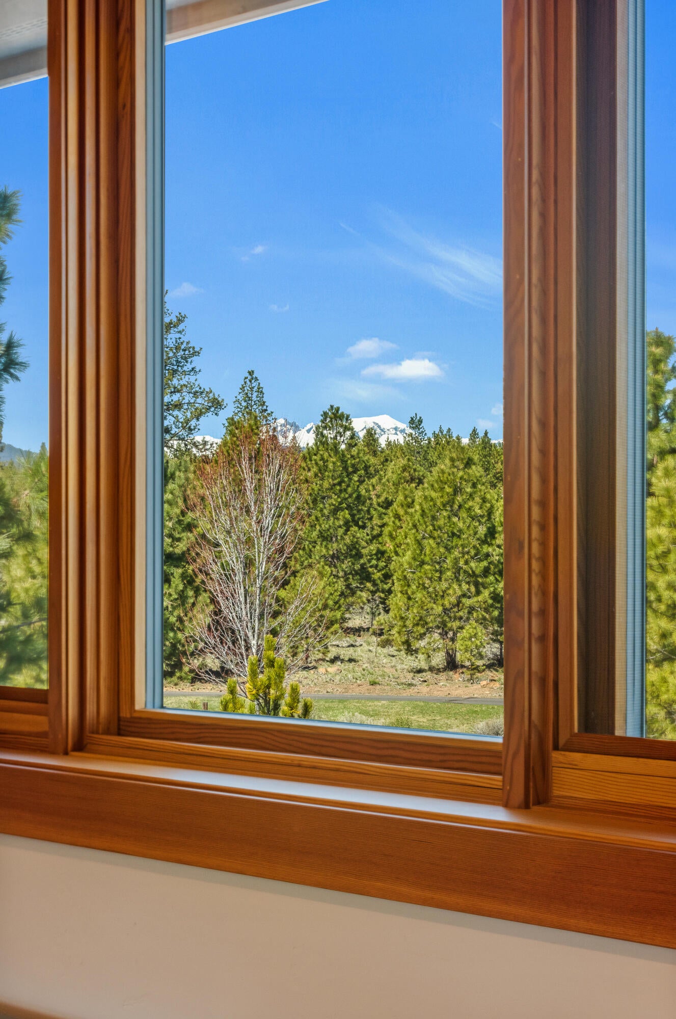 60925 Bachelor View Road Bend, OR 97702 - Photo 50 of 94 60925 Bachelor View Rd - 50